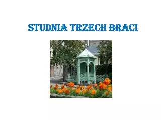 studnia trzech braci