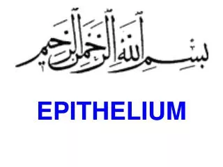 epithelium