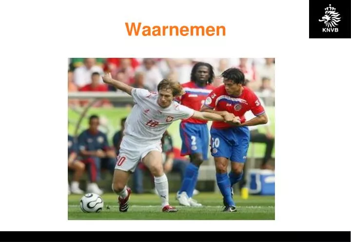 waarnemen