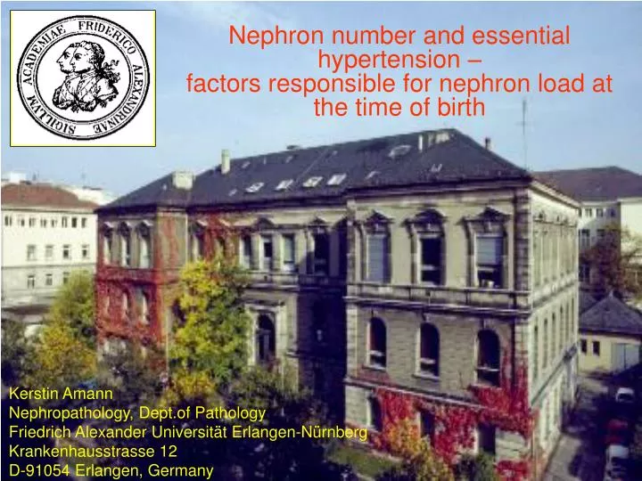 nephron number and essential hypertension factors responsible for nephron load at the time of birth