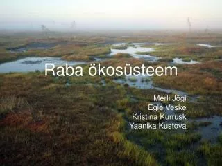 raba kos steem