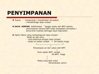 penyimpanan