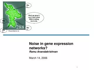 Noise in gene expression networks? Ramu Anandakrishnan