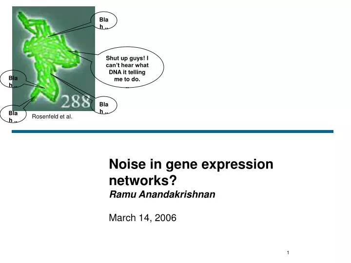 noise in gene expression networks ramu anandakrishnan
