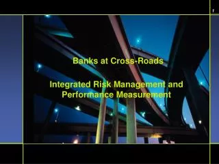 Integrated Risk Management and Performance Measurement