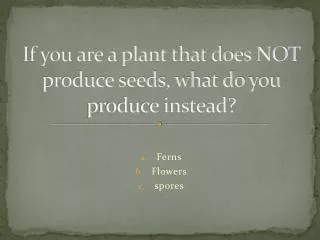 If you are a plant that does NOT produce seeds, what do you produce instead?