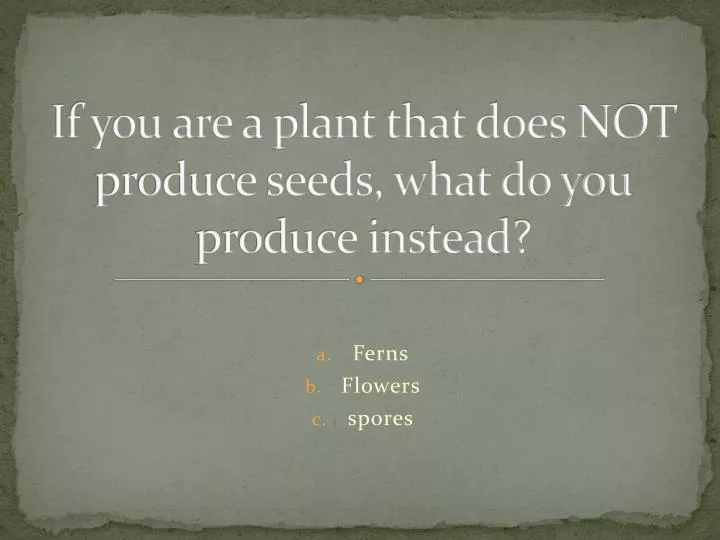 if you are a plant that does not produce seeds what do you produce instead