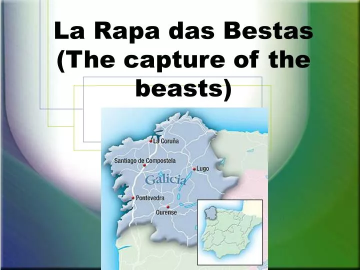 la rapa das bestas the capture of the beasts