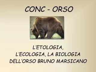 conc orso