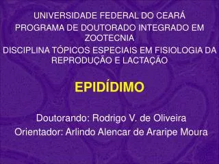 epid dimo