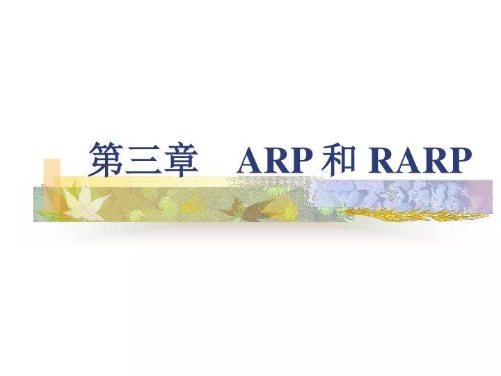 arp rarp