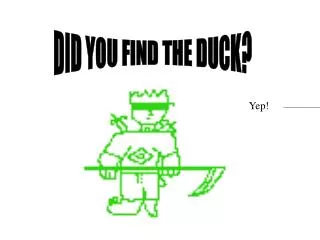 DID YOU FIND THE DUCK?