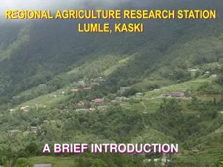 REGIONAL AGRICULTURE RESEARCH STATION LUMLE, KASKI A BRIEF INTRODUCTION