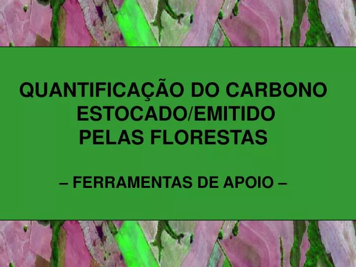 quantifica o do carbono estocado emitido pelas florestas ferramentas de apoio