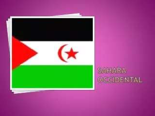 sahara occidental