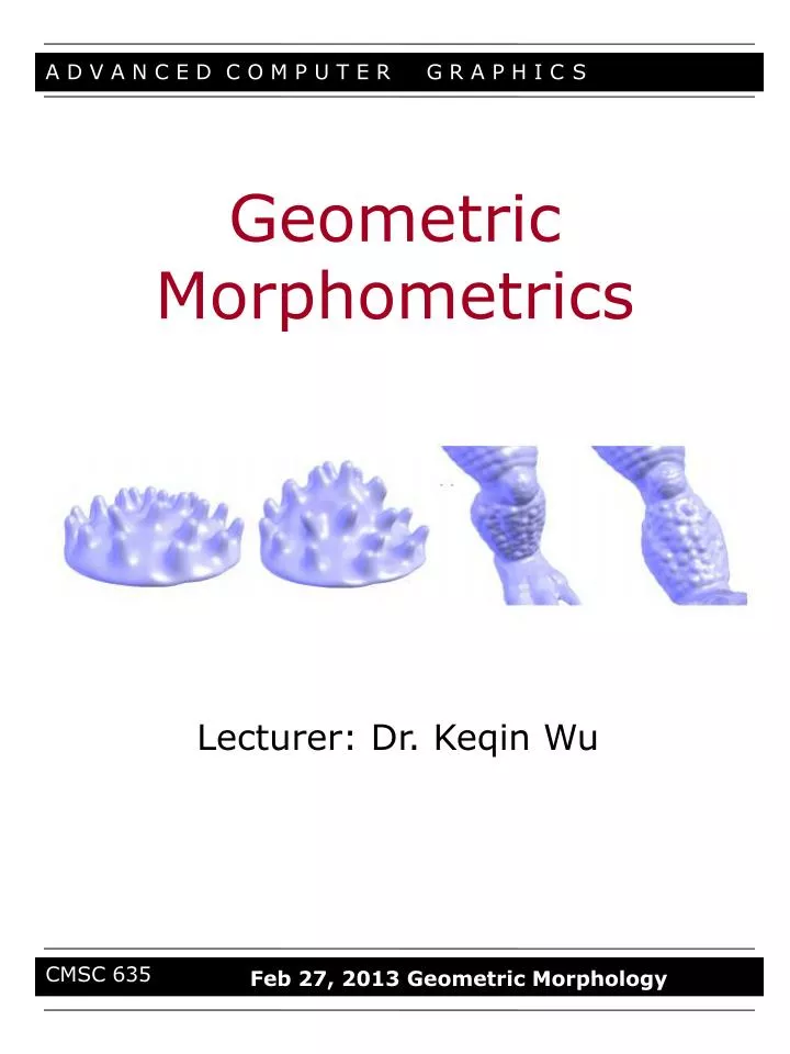 geometric morphometrics