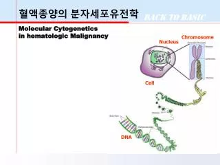 ????? ??????? Molecular Cytogenetics in hematologic Malignancy