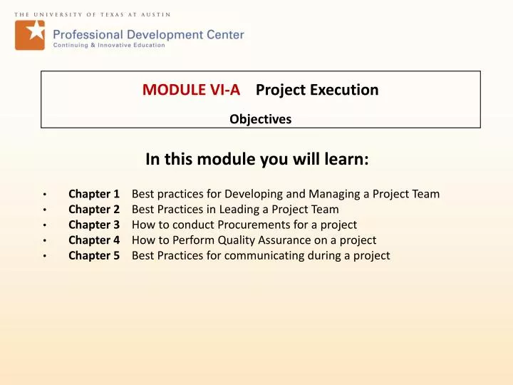 module vi a project execution objectives