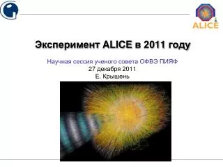 alice 20 11
