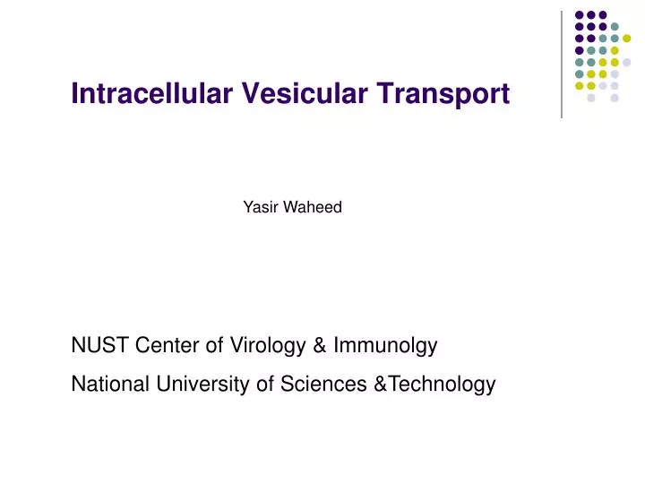 intracellular vesicular transport