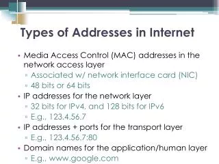 Media Access Control (MAC) addresses in the network access layer
