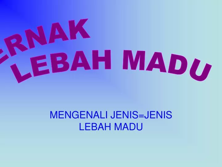 mengenali jenis jenis lebah madu