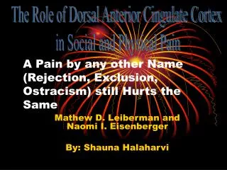 A Pain by any other Name (Rejection, Exclusion, Ostracism) still Hurts the Same