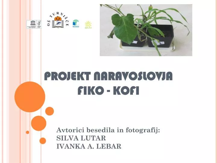 projekt naravoslovja fiko kofi