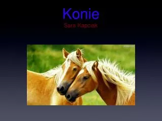 konie