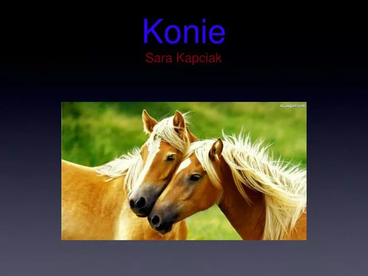 konie