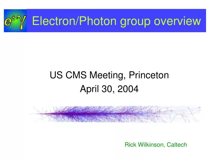 electron photon group overview