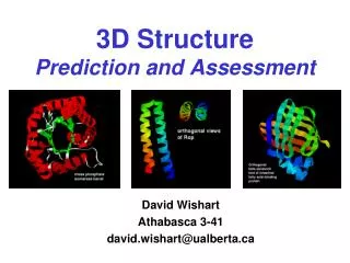 3D Structure Prediction and Assessment