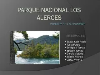 patrulla n 4 los huemulitos