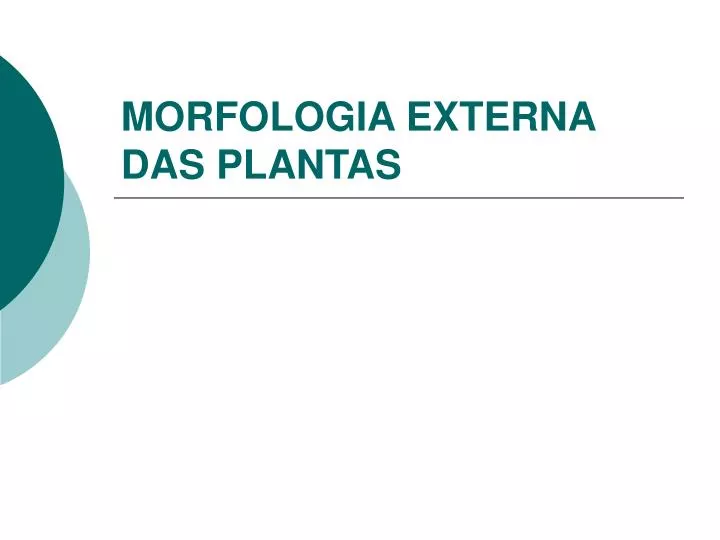morfologia externa das plantas