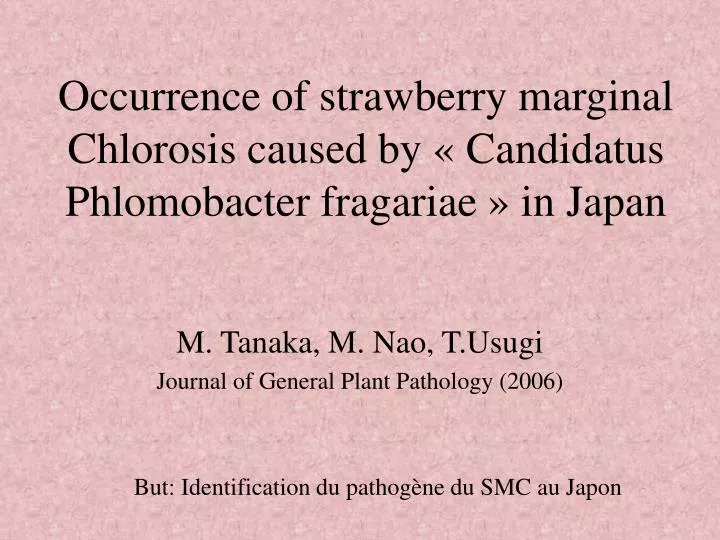 occurrence of strawberry marginal chlorosis caused by candidatus phlomobacter fragariae in japan