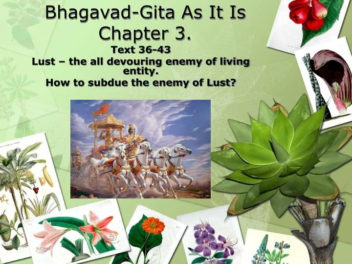 bhagavad gita as it is chapter 3