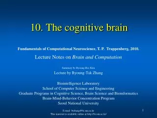 10. The cognitive brain