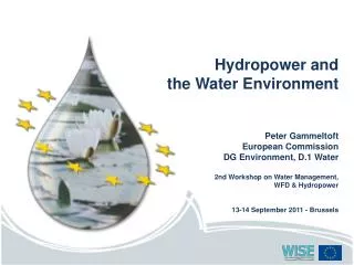 Hydropower and the Water Environment Peter Gammeltoft European Commission