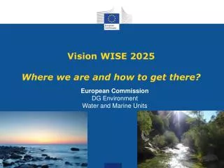 Vision WISE 2025 Where we are and how to get there?