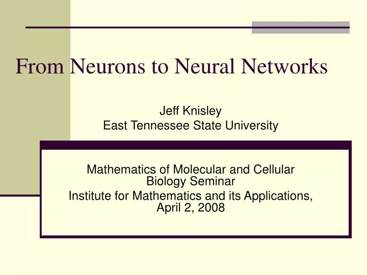 from neurons to neural networks