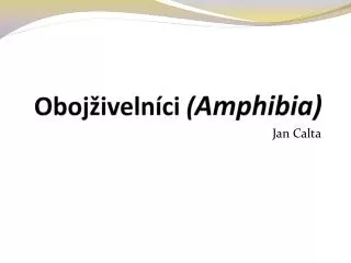 oboj iveln ci amphibia