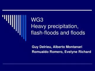 WG3 Heavy precipitation, flash-floods and floods