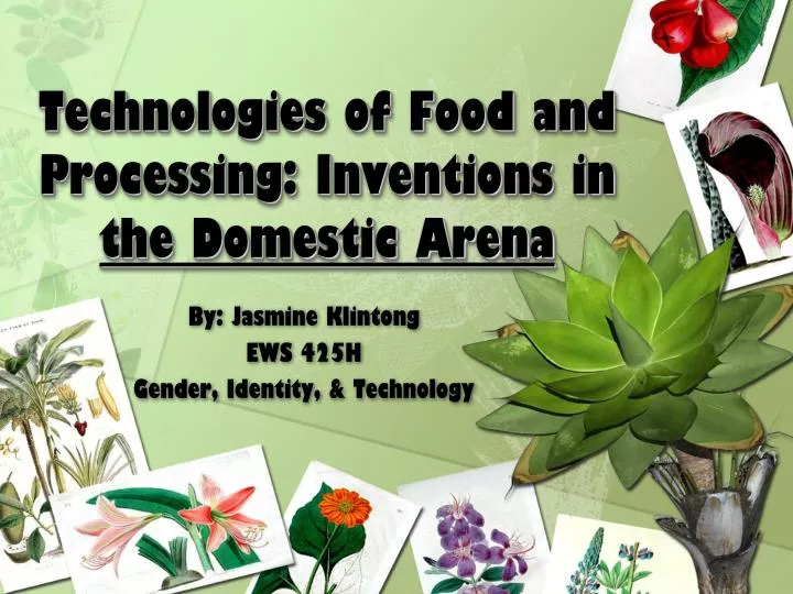 technologies of food and processing inventions in the domestic arena