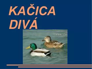 ka ica div