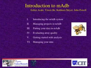 Introducing the mAdb system Managing projects in mAdb Putting your data in mAdb
