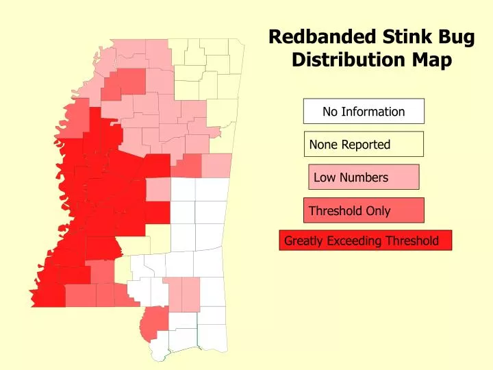 redbanded stink bug distribution map