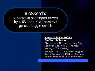 Harvard iGEM 2005 - BioSketch Team