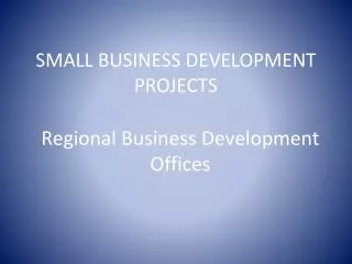 SMALL BUSINESS DEVELOPMENT PROJECTS