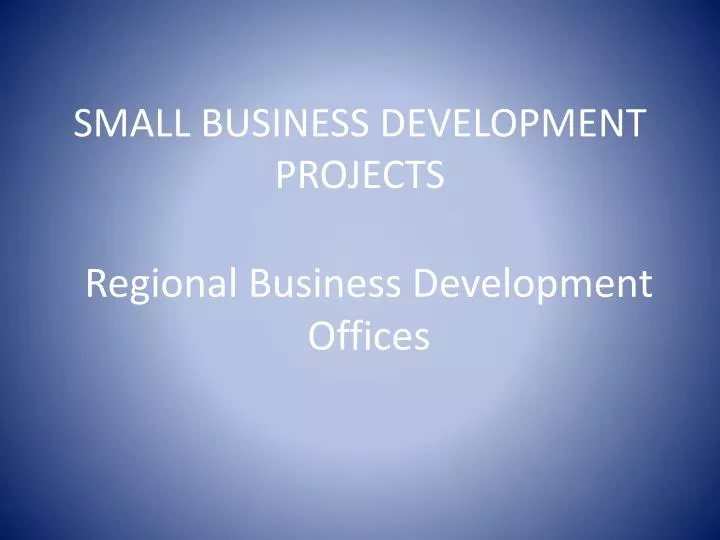 small business development projects