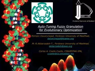 Auto-Tuning Fuzzy Granulation for Evolutionary Optimization